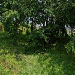 obrazek: avatar PP AUTOCENTRUM s.r.o.