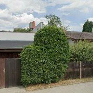 obrazek: avatar TRENDCAR a.s.