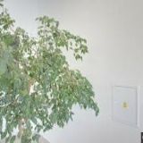 AUTO PALACE BRNO s.r.o.