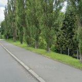 AUTO DOLEŽAL, s.r.o.