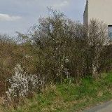 LAFANT ROMAN-AUTOSERVIS