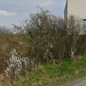 obrazek: avatar LAFANT ROMAN-AUTOSERVIS