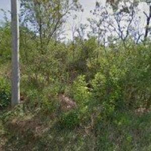 obrazek: avatar RZ AUTO-SERVIS s.r.o.