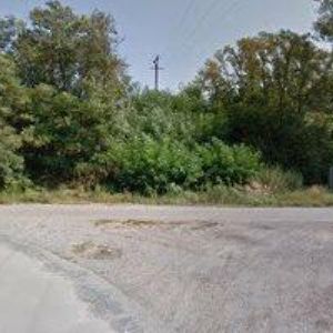 obrazek: avatar ROISS