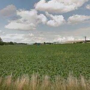 obrazek: avatar JANKŮ SERVIS-AUTOSERVIS A PNEUSERVIS s.r.o.