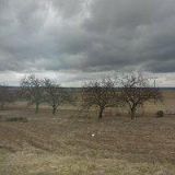 LEIKEP PETR-AUTO-SKLO