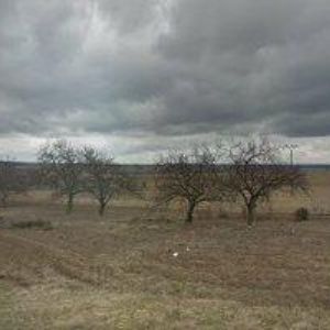 obrazek: avatar LEIKEP PETR-AUTO-SKLO