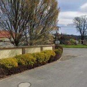 obrazek: avatar TILŠAR TOMÁŠ DiS.