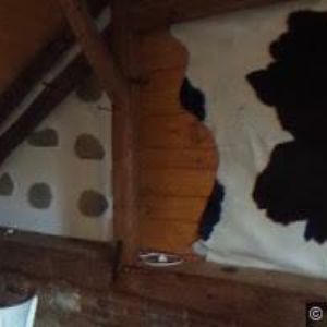 obrazek: avatar BĚHAL JIŘÍ-AUTOLAK