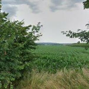 obrazek: avatar DFK TRADING, s.r.o.