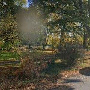 obrazek: avatar AUTO DAREBNÍK