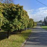 DZ CARS AUTOSERVIS A AUTODOPRAVA