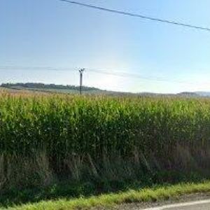 obrazek: avatar ČISTÍMEPROFI.CZ