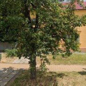 obrazek: avatar ÚKLID ŘEHOŘEK