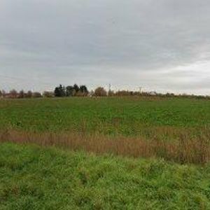 obrazek: avatar TESTCAR s.r.o.