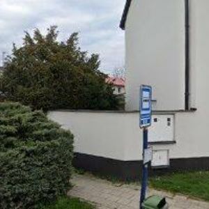 obrazek: avatar ELSI-NERO