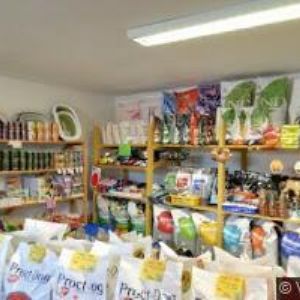 obrazek: avatar HUDBA DO AUTA.COM