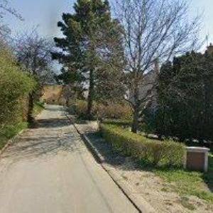 obrazek: avatar JURNÝ RADEK