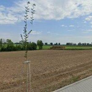 obrazek: avatar AUTO HUSEK s.r.o.