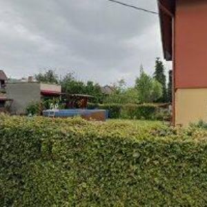 obrazek: avatar LIVEMUSIC AGENCY