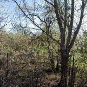 obrazek: avatar METALŠROT TLUMAČOV a.s.