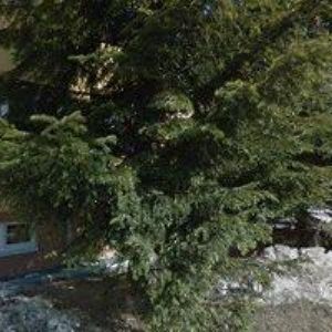 obrazek: avatar KONEČNÝ MARTIN