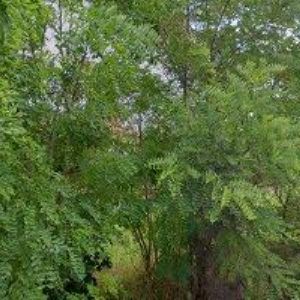 obrazek: avatar PPT MOTO SERVIS s.r.o.