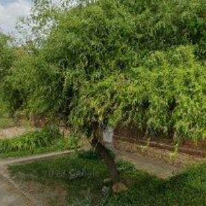 obrazek: avatar AKUMA-MOTORS v.o.s.