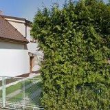 PŮJČOVNA NOSIČŮ KOL