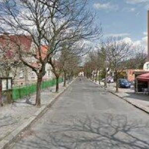 obrazek: avatar CESTOVNÍ AGENTURA PALMA-ANDREA SILVESTROVÁ