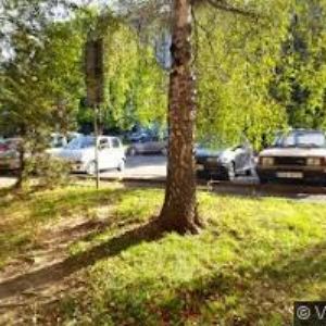 obrazek: avatar CA IMPULS