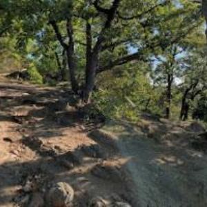 obrazek: avatar MĚSTO Znojmo