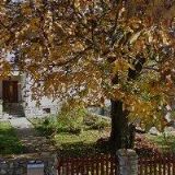 BLAŽKOVÁ LENKA Ing.