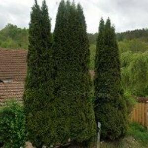 obrazek: avatar KALÁŠKOVÁ JANA Ing.