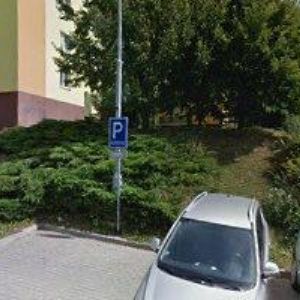 obrazek: avatar KELLNEROVÁ PAVLA PaedDr.