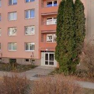 obrazek: avatar SUROVCOVÁ ŠÁRKA