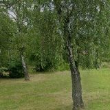 KOŽUŠNÍKOVÁ BARBORA Mgr.