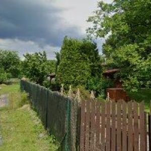 obrazek: avatar POLKOVÁ MARKÉTA