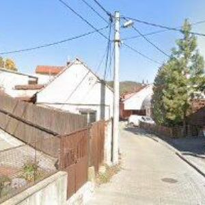 obrazek: avatar MUNTEANU RENATA Mgr.-MUNTE