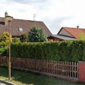 obrazek: avatar DEUTSCH STUDIO