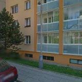 OPLETALOVÁ PAVLÍNA