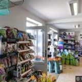 KOZLOVSKÁ OLGA Mgr.