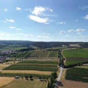 obrazek: avatar HOTEL HAPPY STAR s.r.o.