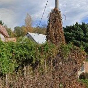 obrazek: avatar BLANÍK PETR