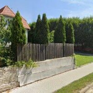 obrazek: avatar VILA EDITH