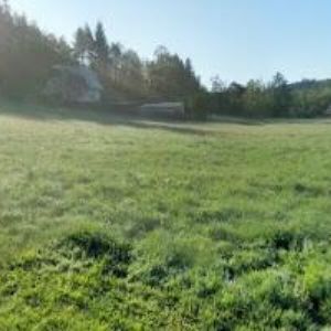 obrazek: avatar REKREAČNÍ STŘEDISKO BÍLÁ HOLUBICE