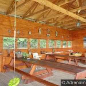 obrazek: avatar RANČ OREL