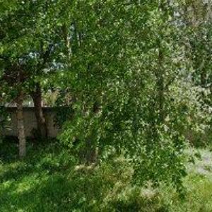 obrazek: avatar OÁZA KLIDU NA KONCI SVĚTA