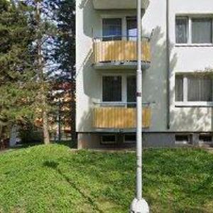 obrazek: avatar DĚTSKÉ SDRUŽENÍ RADOST