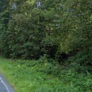 obrazek: avatar DOLINA AUTOKEMP